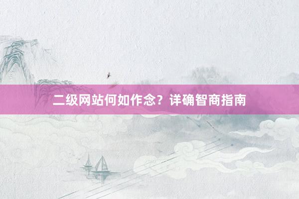 二级网站何如作念？详确智商指南